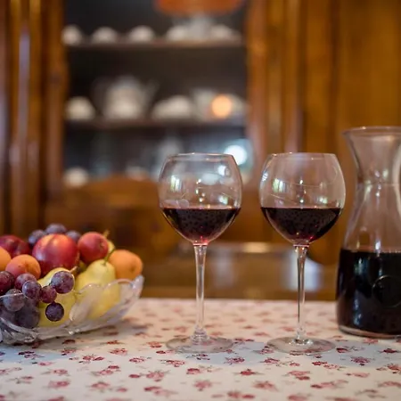 House Predrag 苏佩塔斯卡德拉加