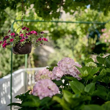 בית נופש House Predrag סופטרסקה דראגה