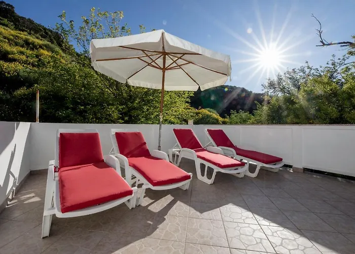 House Predrag