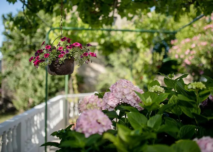 Case de vacanță House Predrag Supetarska Draga