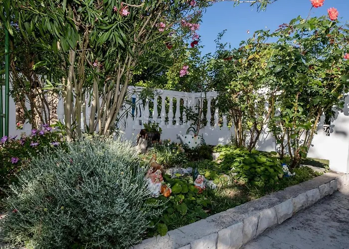 House Predrag Case de vacanță *